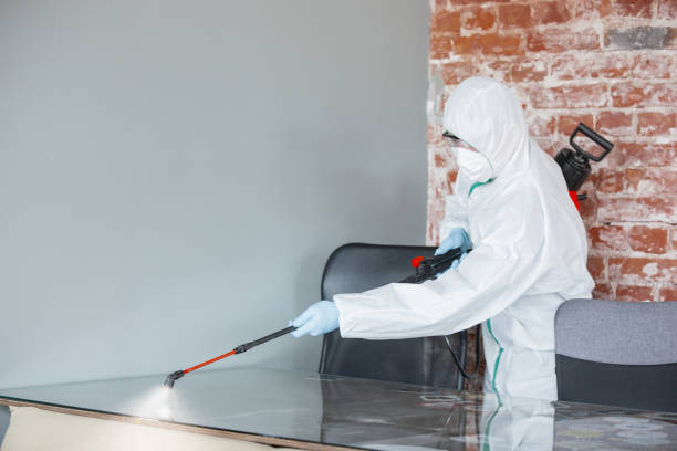 Best Forensic Mold Investigation  in Harrisville, UT